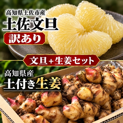【2027年2月発送】訳あり 土佐文旦＋土付き生姜セット