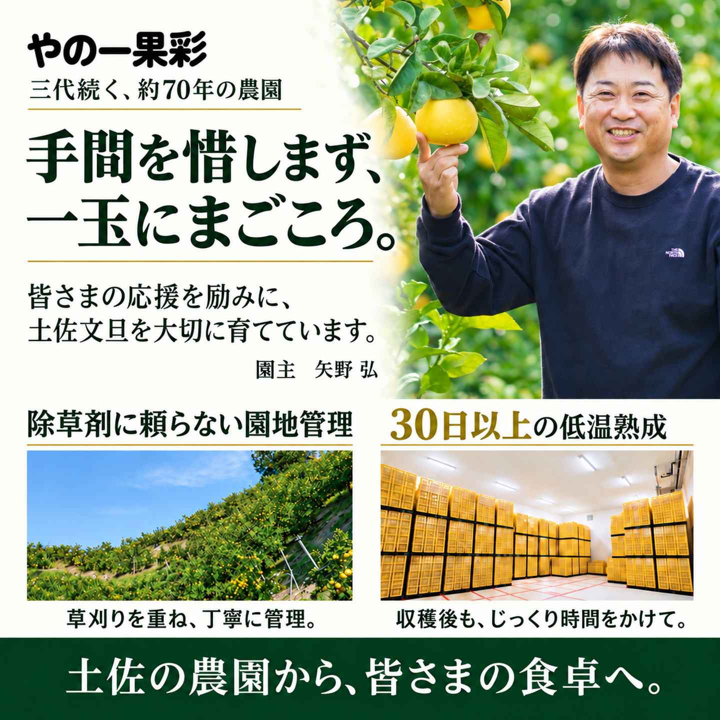 三代続く約70年の農園。園主・矢野弘が手間を惜しまず一玉ずつ育てています