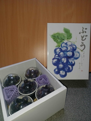 あがつまブドウ（5カップ）約1.5kg　<送料込み＞