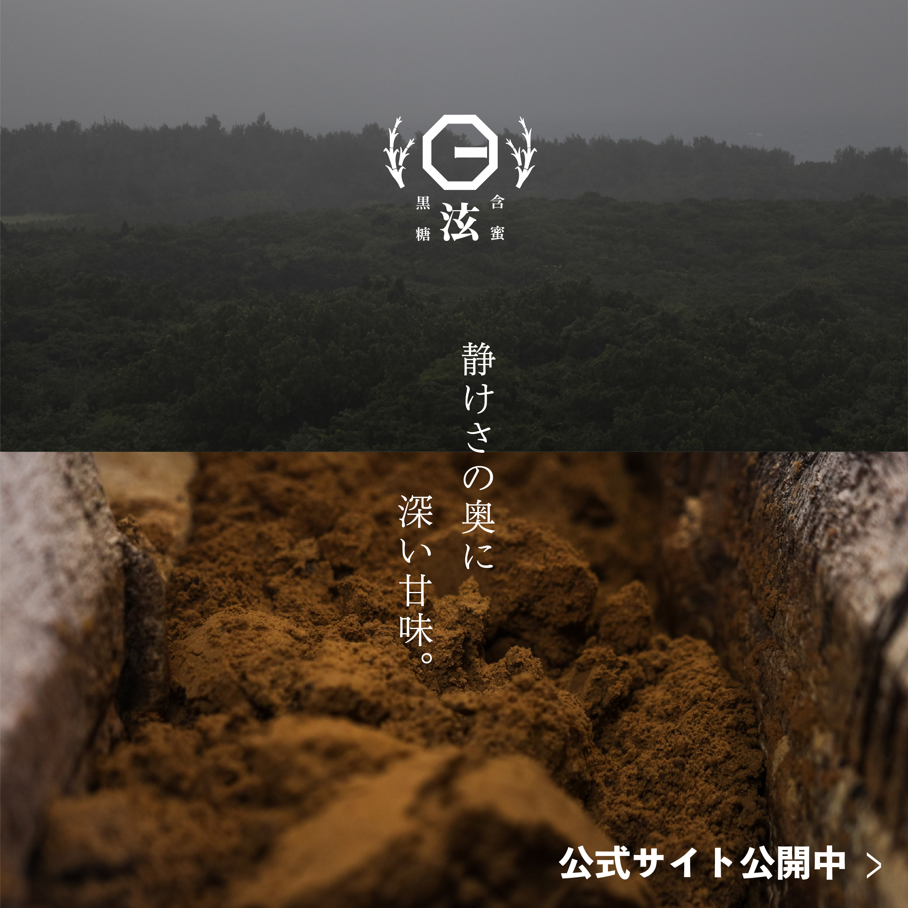 株)水野製菓 オンラインストア