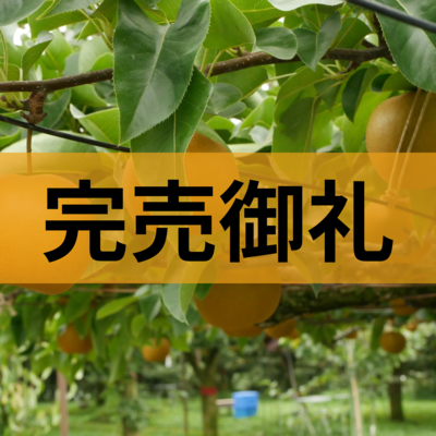 【7月下旬以降発送予定】幸水梨