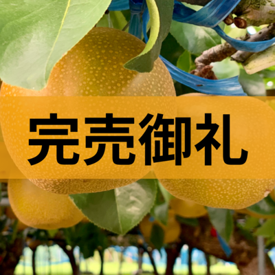 【8月中旬以降発送予定】豊水梨