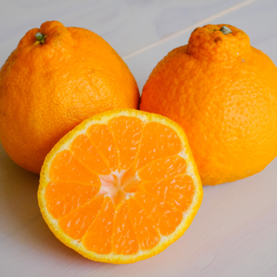 露地しらぬい5kg