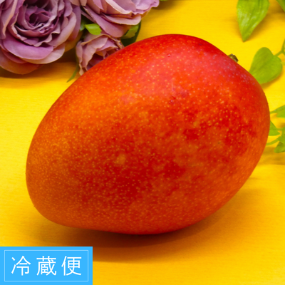【水俣産】完熟マンゴー