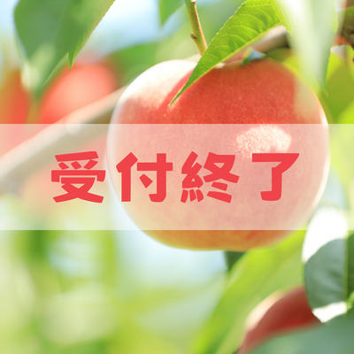 あかつき桃2kg