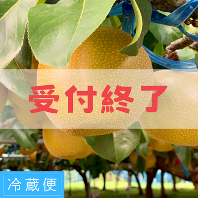 豊水【清流球磨梨】