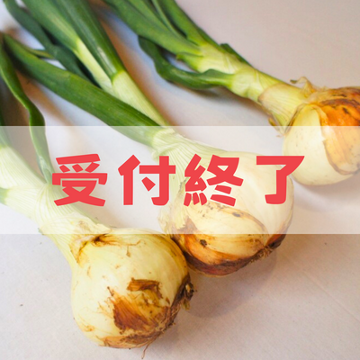 葉付きサラダ玉ねぎ