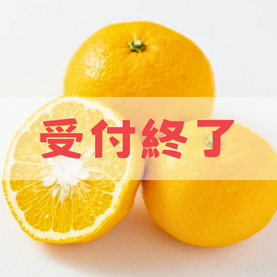 甘夏【贈答用】