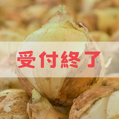 サラダ玉ねぎ