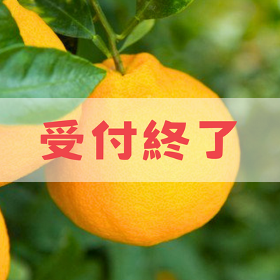 【家庭用】減農薬しらぬい5ｋｇ