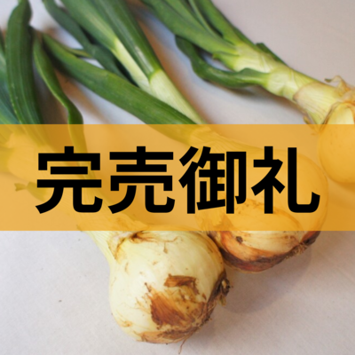 葉付きサラダ玉ねぎ