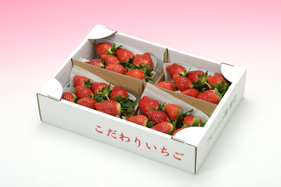 とちおとめ４パック