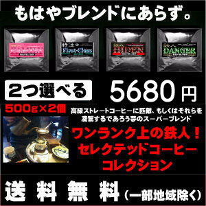 2つ選べるワンランク上の鉄人セレクテッドコーヒーコレクション　500g&times;2個セット 合計  1kg【送料無料】