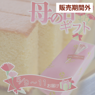 母の日ギフト 仁井田米カステラ半斤2 本セット