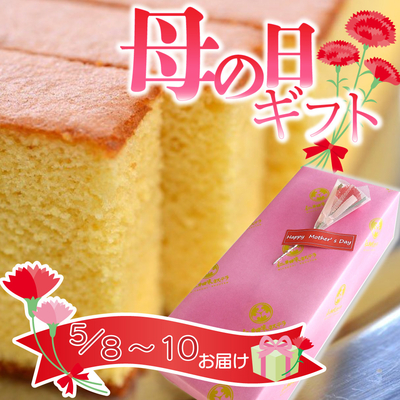 母の日ギフト 仁井田米カステラ半斤2 本セット