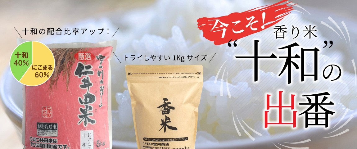 今こそ！香り米十和の出番