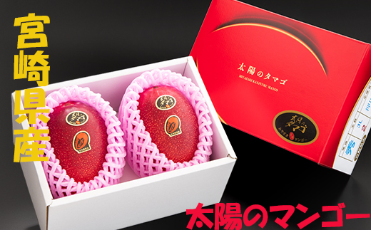 太陽のタマゴ 2L 2玉（約700g）先行発売！！（7月中旬まで受付
