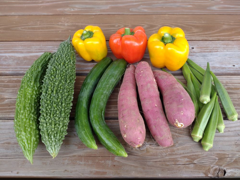 旬のお野菜セット（5~7種） | MICHI−FARM