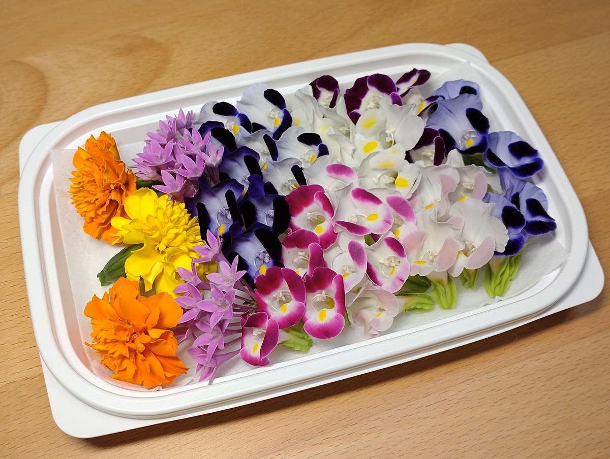 季節のエディブルフラワーMIX（生花50輪） | MICHI−FARM