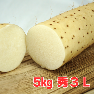 5kg秀3L】秋掘り長芋 | JAオホーツク網走