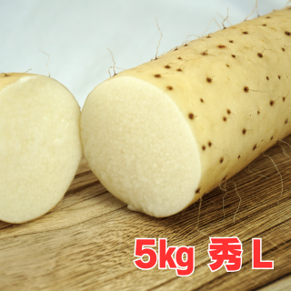 5kg秀L】秋掘り長芋 | JAオホーツク網走
