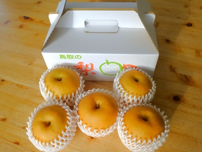 新興 （4～5玉/約2.0kg）1箱