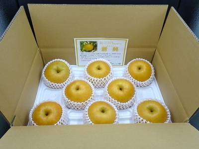 新興（8～12玉/約5ｷﾛ）1箱