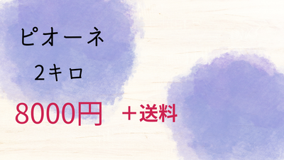 ピオーネ2キロ箱　