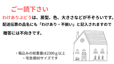 わけあり不揃いピオーネ