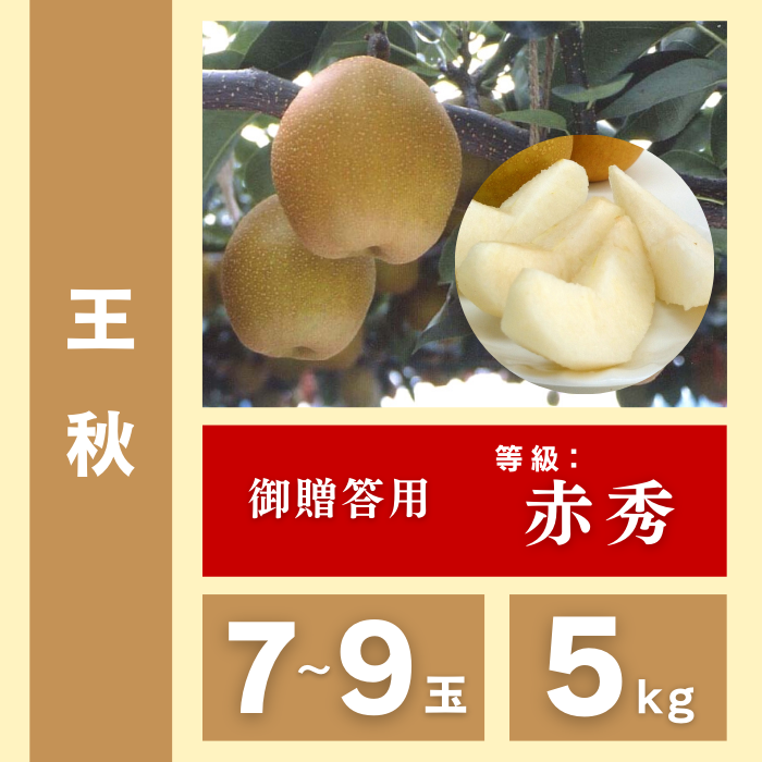 王秋梨 | ええもん届ける便 