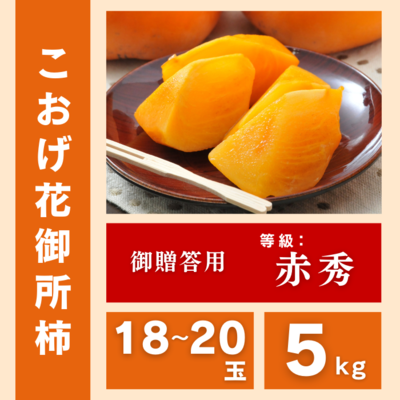 こおげ花御所柿　