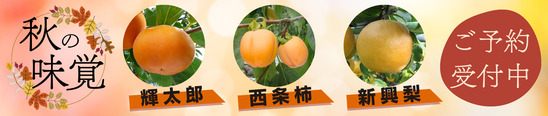 秋の味覚（輝太郎・西条・新興梨）予約受付中