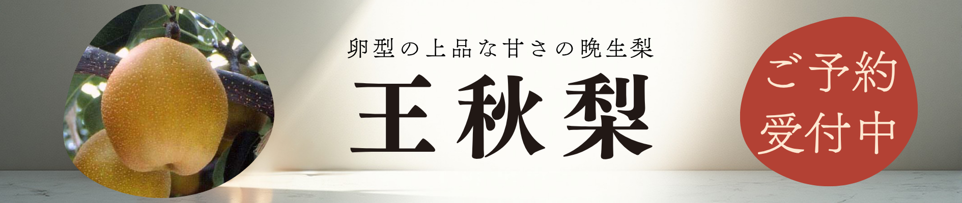 王秋梨 予約受付中