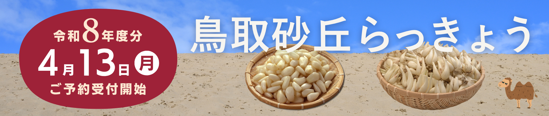 今年の砂丘らっきょう ご予約受付開始