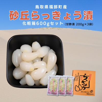 砂丘らっきょう漬　化粧箱600gセット