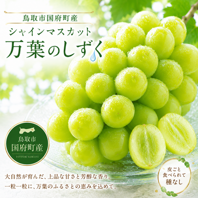 シャインマスカット「万葉のしずく」