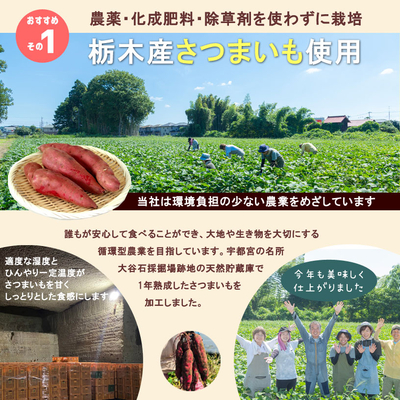 べにはるか　A品M 20キロ 茨城県産さつまいも紅はるかA品約20㎏S〜Mサイズ - 野菜ベストセラー