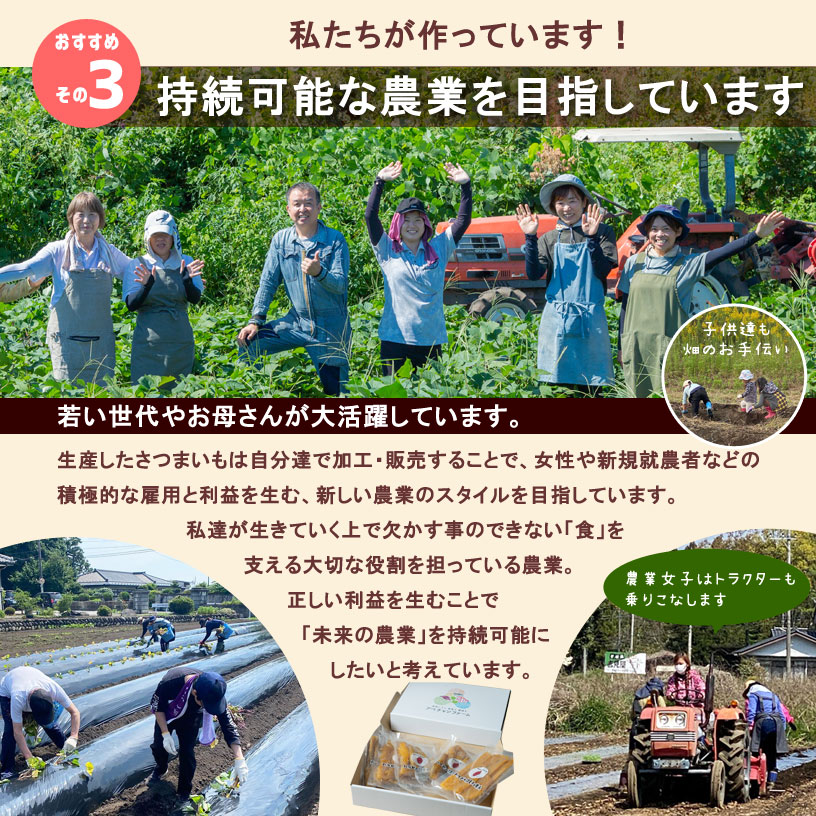 平干し芋3kg（150g×20袋）紅はるか｜アベチャンファーム｜干し芋