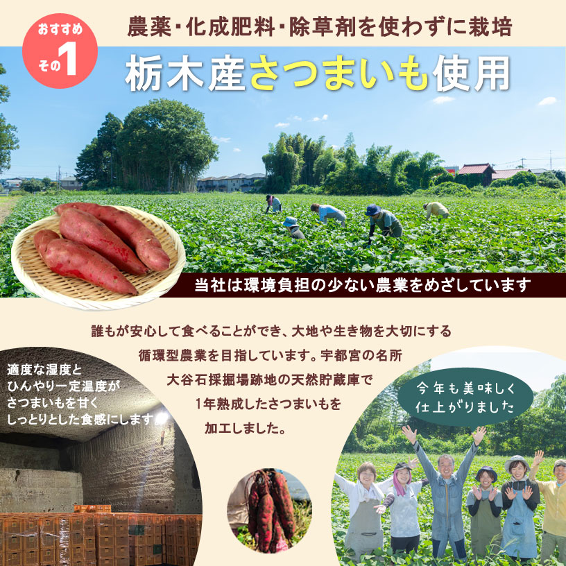 丸干し芋2kg（200g×10袋）紅はるか｜アベチャンファーム｜干し芋