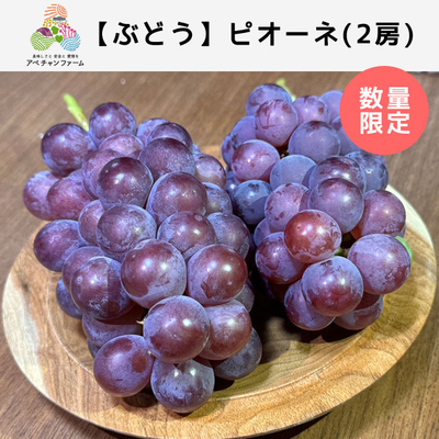 【栃木県産ぶどう】ピオーネ(2房)
