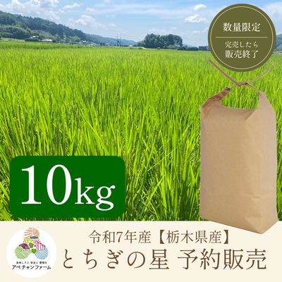 【令和7年産　栃木県産米　予約販売】﻿ とちぎの星(10kg)