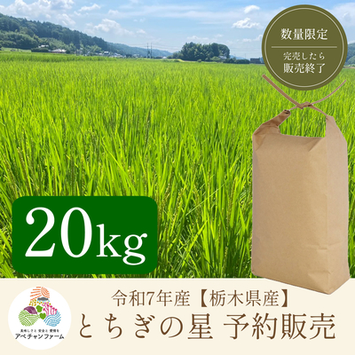 【令和7年産　栃木県産米　予約販売】﻿ とちぎの星(20kg)