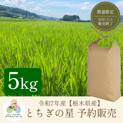 【令和7年産　栃木県産米　予約販売】﻿ とちぎの星(5kg)