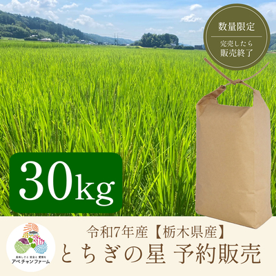 【令和7年産　栃木県産米　予約販売】﻿ とちぎの星(30kg)