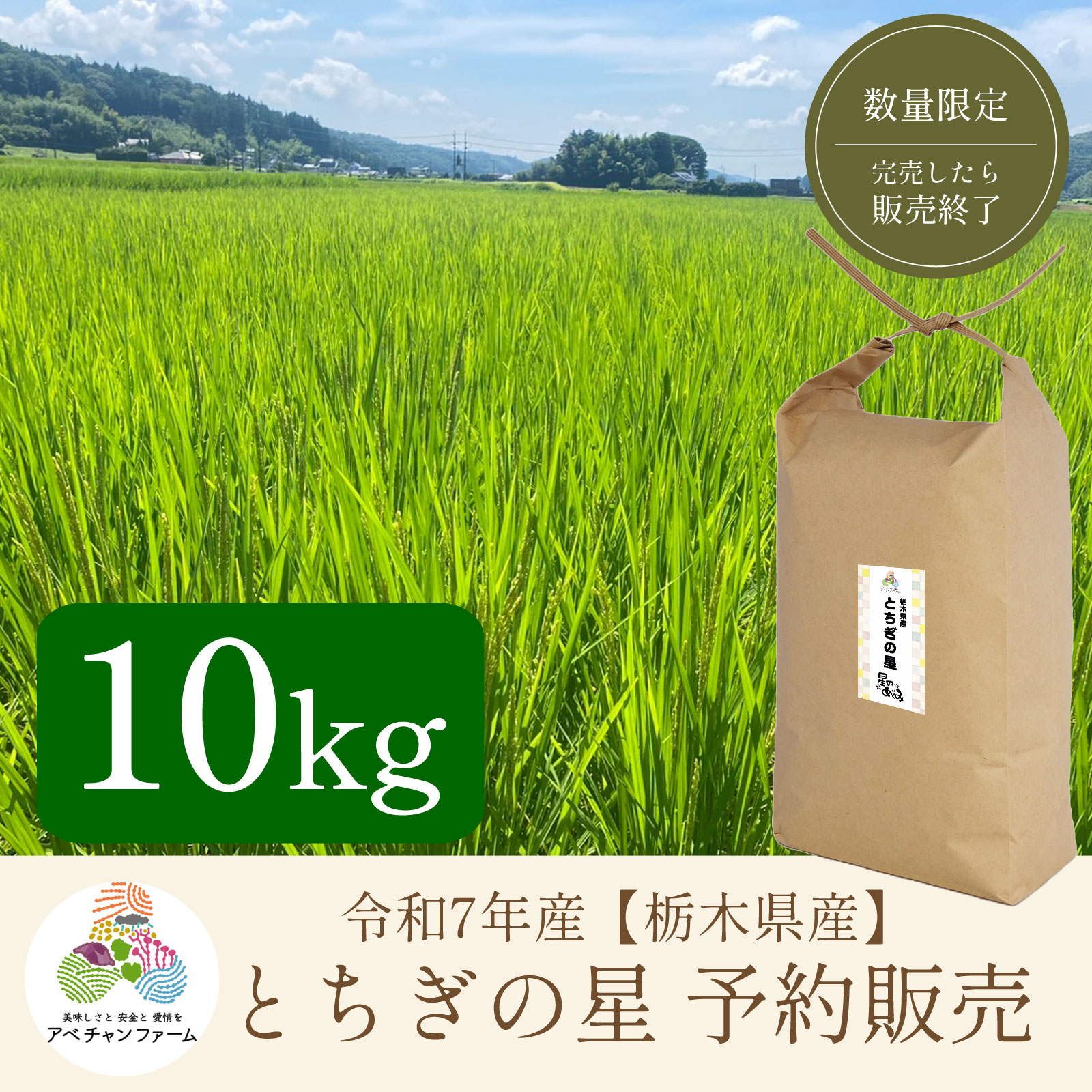 令和6年 栃木県産 ブランド米 とちぎの星 20キロ 令和元年度天皇献上米