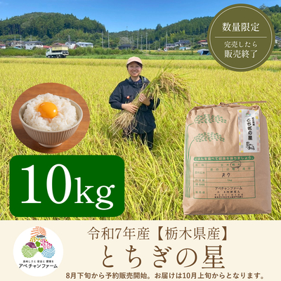 【令和7年産　栃木県産米】﻿ とちぎの星(10kg)