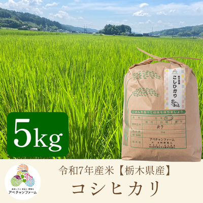 【令和7年産　栃木県産米】﻿ コシヒカリ(5kg)