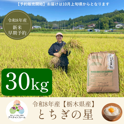 【令和8年産　栃木県産米】とちぎの星(30kg)