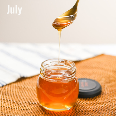 はちみつ♡ 三洋通商 純粋はちみつ 100g まとめ買い(×5)|4562192361445(tc)(011020