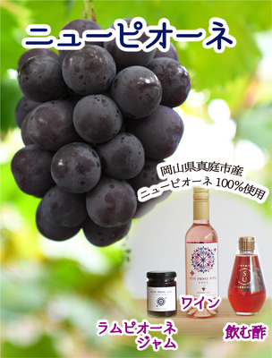 ニューピオーネ＆ラムピオーネジャム＆ニューピオーネワイン＆果実の飲む酢